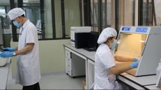 Cán bộ, kỹ thuật viên Khoa Xét nghiệm Sinh học, Viện Pháp y Quân đội thực hiện quy trình giám định ADN hài cốt liệt sĩ.