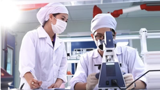 Ban hành Kiến trúc nền tảng hợp đồng lao động điện tử
