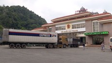 Đề nghị phổ biến tài liệu hướng dẫn sử dụng hệ thống CIFER