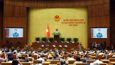 Chiều 23/8/2026, Đại tướng Phan Văn Giang, Phó Thủ tướng, Bộ trưởng Bộ Quốc phòng, thừa ủy quyền của Thủ tướng Chính phủ trình bày Báo cáo giải trình, tiếp thu, chỉnh lý dự thảo Luật Phòng, chống phổ biến vũ khí hủy diệt hàng loạt và Luật sửa đổi, bổ sung một số điều của 9 luật về quân sự, quốc phòng.