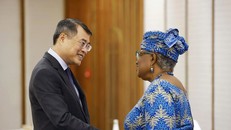 Thủ tướng Chính phủ Lê Minh Hưng tiếp Tổng Giám đốc WTO