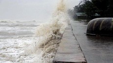 Chủ động ứng phó với áp thấp nhiệt đới trên Biển Đông