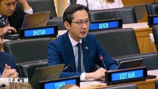 Việt Nam thúc đẩy pháp quyền bằng những hành động và đóng góp thiết thực