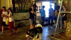 Cô gái sợ hãi khi đi qua một con chó dữ không rọ mõm ở phố đi bộ hồ Gươm