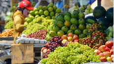 Đủ loại trái cây ngoại được bày bán với số lượng ngày càng tăng. 