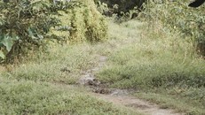 Hiện trường nơi Tới đưa cô gái đến khống chế, cưỡng hiếp. Ảnh M.A