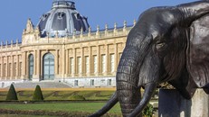 Khoảng 85% trong số 120.000 đồ tạo tác được đặt trong bảo tàng Tervuren đến từ khu vực hiện là DRC. Ảnh: Alamy