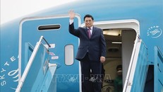 Từ sân bay quốc tế Nội Bài (Hà Nội), Thủ tướng Phạm Minh Chính lên đường tham dự Hội nghị Cấp cao đặc biệt ASEAN - Hoa Kỳ; thăm, làm việc tại Hoa Kỳ và Liên hợp quốc. Ảnh: TTXVN