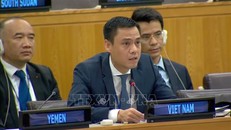 Đại sứ Đặng Hoàng Giang, Trưởng Phái đoàn Thường trực Việt Nam tại LHQ. Ảnh: TTXVN.