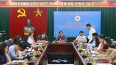Giải Bơi chải thuyền rồng Hà Nội mở rộng năm 2022