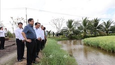 Thủ tướng Phạm Minh Chính khảo sát công tác giải phóng mặt bằng đường cao tốc Bắc - Nam phía Đông, tuyến Cần Thơ - Cà Mau. Ảnh: Dương Giang/TTXVN