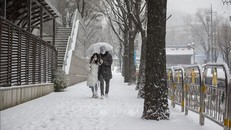 Hàn Quốc: Nâng mức cảnh báo thiên tai do tuyết rơi dày