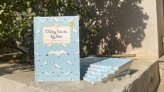 Chàng hải âu kỳ diệu - Khúc ca về hoài bão và tự do dưới ánh mặt trời