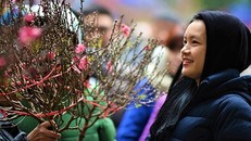 Bắc Bộ và Bắc Trung Bộ trời rét từ ngày 30 đến mùng 8 Tết