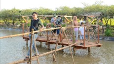 Các điểm du lịch ở nông thôn thu hút đông đảo du khách. Ảnh: Hữu Chí/TTXVN