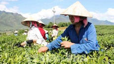 Giải quyết vướng mắc của chương trình mục tiêu quốc gia