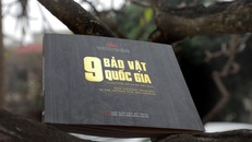 Sách ảnh “9 Bảo vật quốc gia ở Bảo tàng Mỹ thuật Việt Nam". Ảnh: Bảo tàng Mỹ thuật Việt Nam