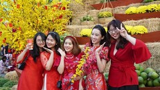 Du lịch Thủ đô khởi sắc trong mùa nhộn nhịp du Xuân