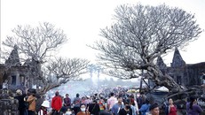 Lễ hội thu hút rất đông người dân đến tham quan, thực hành các nghi lễ tôn giáo. Ảnh: TTXVN