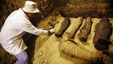 Phát lộ hàng trăm xác ướp động vật từ thời kỳ Ptolemaic