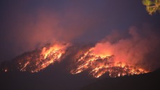 10 ha rừng thông ảnh hưởng sau vụ cháy ở đèo Prenn