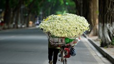 Có một Hà Nội ý niệm trong tâm trí mỗi chúng ta...