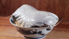 Món mì ramen kết hợp bọ biển khổng lồ thu hút thực khách