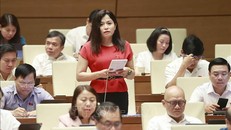 Đại biểu Quốc hội tỉnh Vĩnh Phúc Thái Quỳnh Mai Dung. Ảnh: Doãn Tấn/TTXVN