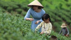 Xây dựng sản phẩm du lịch phù hợp với chính sách visa mới