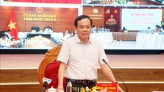 Phó Thủ tướng Chính phủ Trần Lưu Quang phát biểu tại hội nghị. 