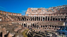 'Chiến dịch đặc biệt' dẹp nạn chuột cống hoành hành tại Đấu trường La Mã