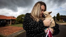 Cô Suzie Meakins tâm sự: “Tôi không có con, vì vậy đàn chó chính là con tôi”. Ảnh: The Guardian.
