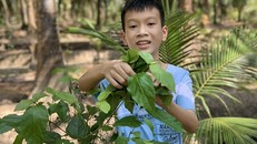 Chân dung Đào Khương Duy - Nam sinh giành giải Ba Cuộc thi Viết thư Quốc tế UPU 2023. Ảnh: VietnamPost