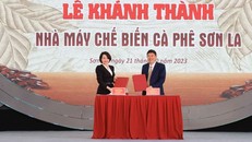 Bà Nguyễn Thị Phương, Tổng Giám đốc WinCommerce cùng ông Nguyễn Như Hùng, Chủ tịch HĐQT Công ty CP Chế biến Cà phê Sơn La