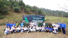 Panasonic Việt Nam tái khởi động chương trình trồng rừng 'Sống khỏe góp xanh 2023'