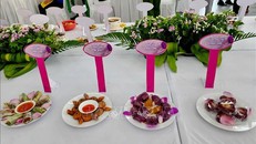 Xác lập kỷ lục Việt Nam với 100 món ăn chế biến từ khoai lang Bình Tân