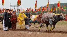 Tái hiện cảnh nhà Vua xuống đồng cày ruộng đầu năm mới tại lễ hội. Ảnh tư liệu: Thanh Tùng/TTXVN