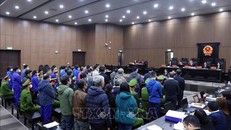 Các bị cáo trong vụ Việt Á thừa nhận hành vi phạm tội