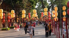 Khu di tích Hoàng thành Thăng Long rực rỡ sắc Xuân, thu hút đông đảo du khách tham quan. Ảnh: TTXVN phát