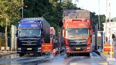 Hoạt động thông quan hàng hóa tại Cửa khẩu Quốc tế Hữu nghị (thị trấn Đồng Đăng, huyện Cao Lộc, tỉnh Lạng Sơn). Ảnh: Văn Đạt/TTXVN