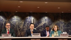 Đại sứ Mai Phan Dũng chủ trì kỳ họp thứ 14 của Ủy ban Đầu tư, Doanh nghiệp và Phát triển thuộc khuôn khổ UNCTAD. Ảnh: Anh Hiển/TTXVN