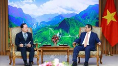 Thủ tướng Phạm Minh Chính tiếp ông Park Hark Kyu, Tổng Giám đốc phụ trách tài chính của Tập đoàn Samsung. Ảnh: Dương Giang