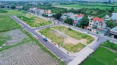 Nhiều lo ngại về làn sóng "giá ảo" trong đấu giá đất