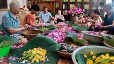 Nghề ướp trà sen Quảng An (Tây Hồ) trở thành Di sản Văn hóa phi vật thể quốc gia