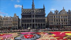 Thảm hoa Brussels 2024