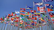 WTO đón thành viên thứ 165