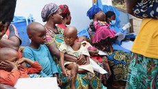 Cạn kiệt kho dự trữ vaccine ngừa dịch tả toàn cầu