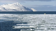 Một đảo ở Bắc Cực biến mất