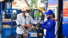 Giá xăng dầu đồng loạt giảm nhẹ