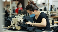 Xuất khẩu dệt may cán đích 44 tỷ USD